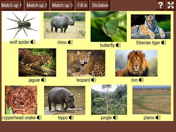 animals-and-their-habitats-2-english-guide